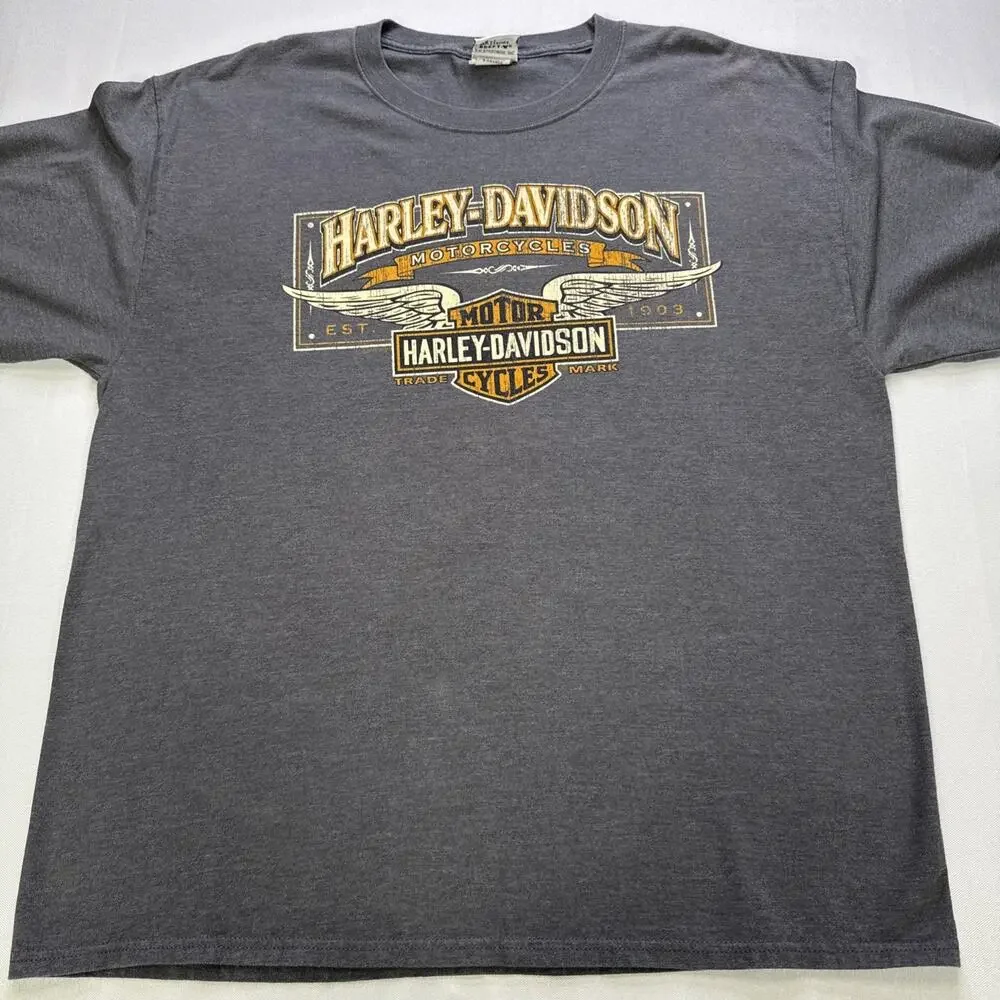 Harley-Davidson Motorcycle Chester’s Jackson Hole WY Graphic T-Shirt Gray XL LS